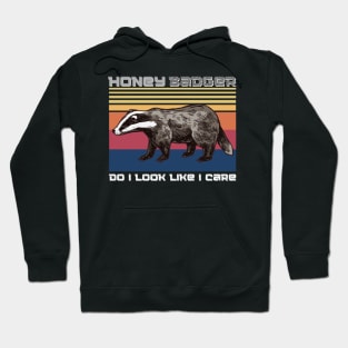 Honey badger do i look like i care, Funny Badger animals Hoodie